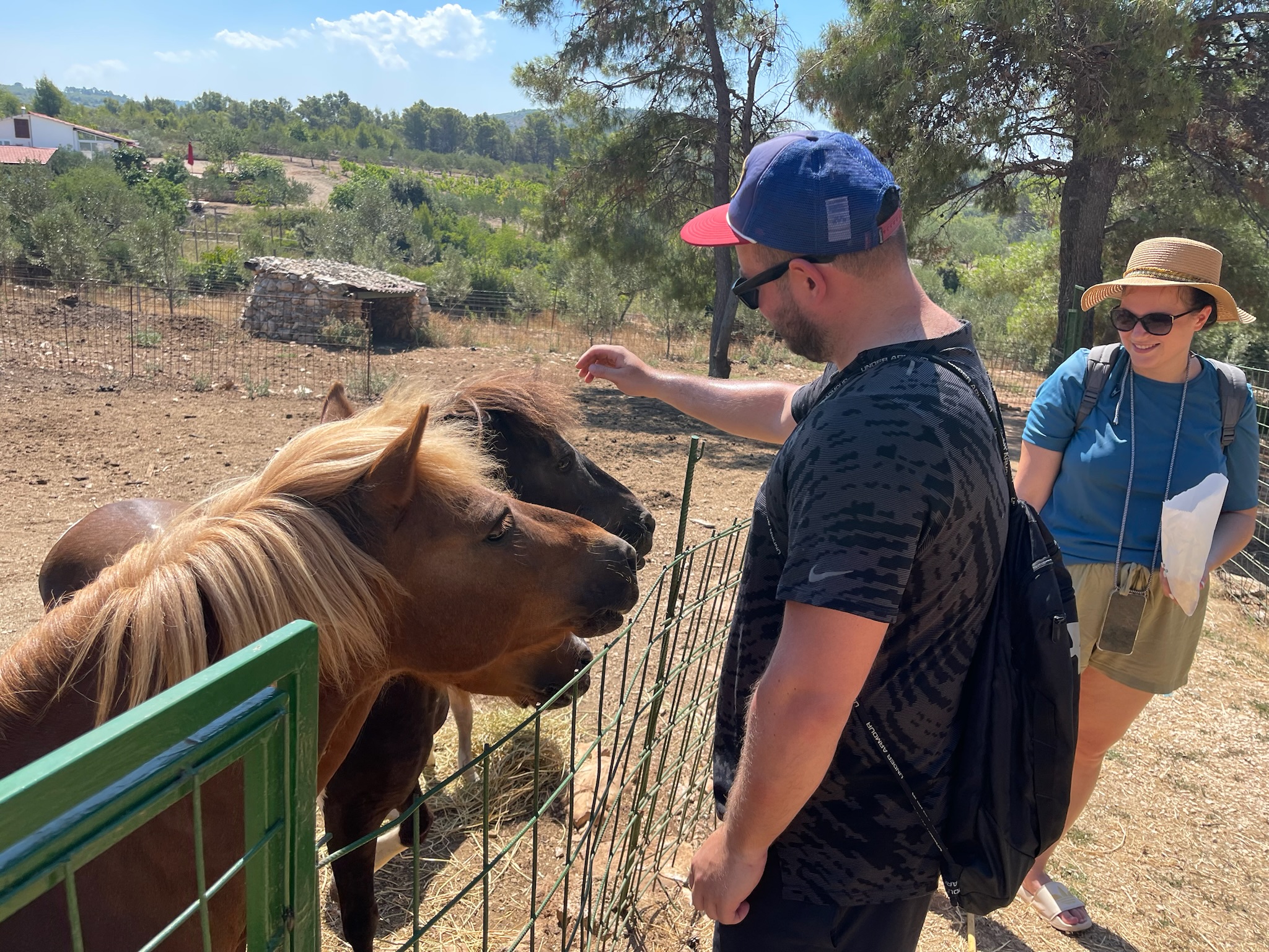 člověk krmící koně