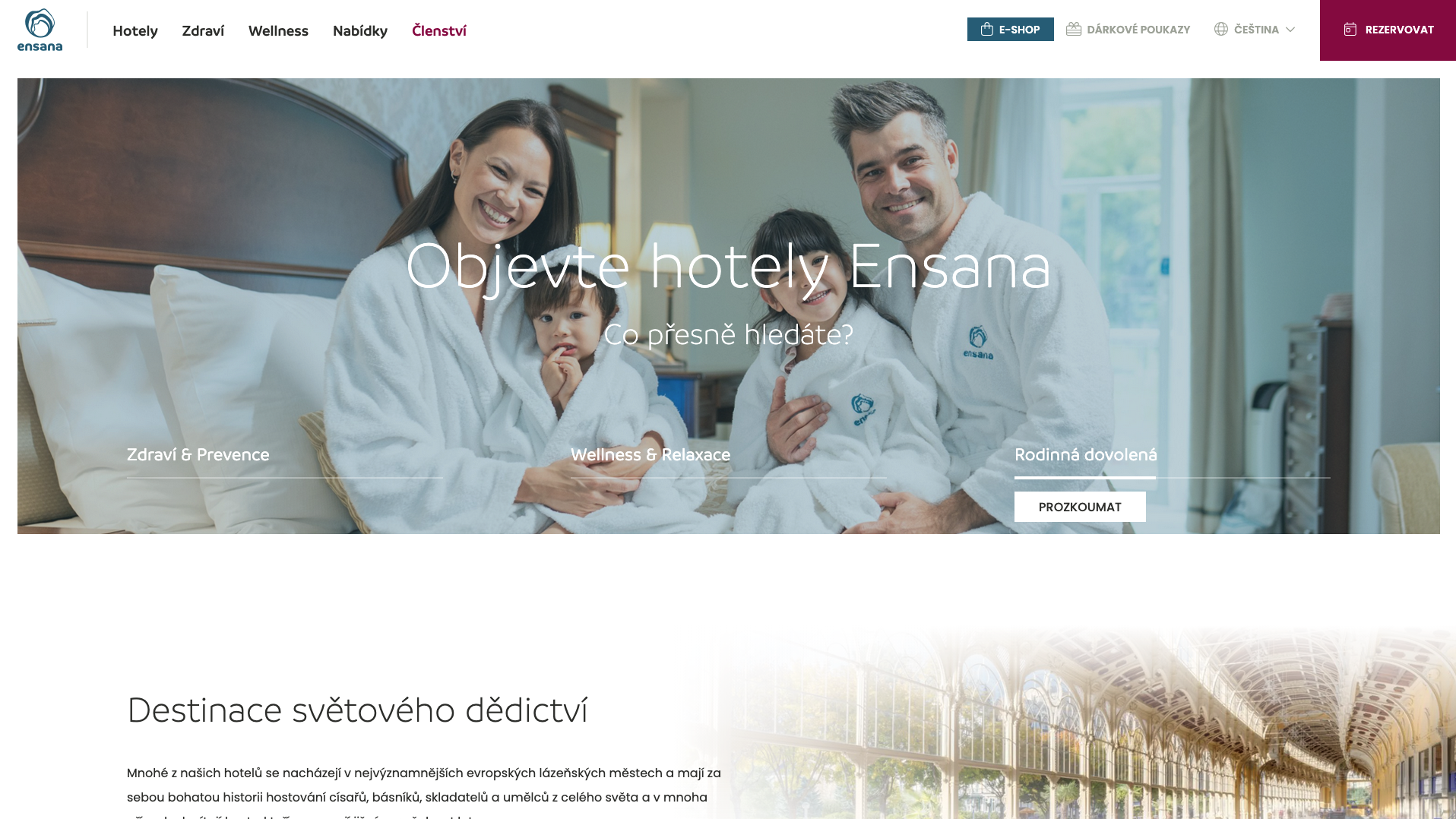 Screenshot webové stránky