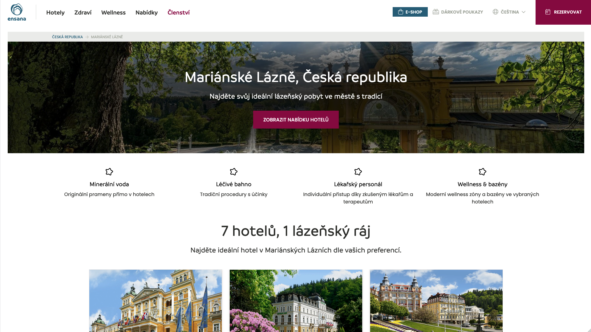 screenshot webové stránky