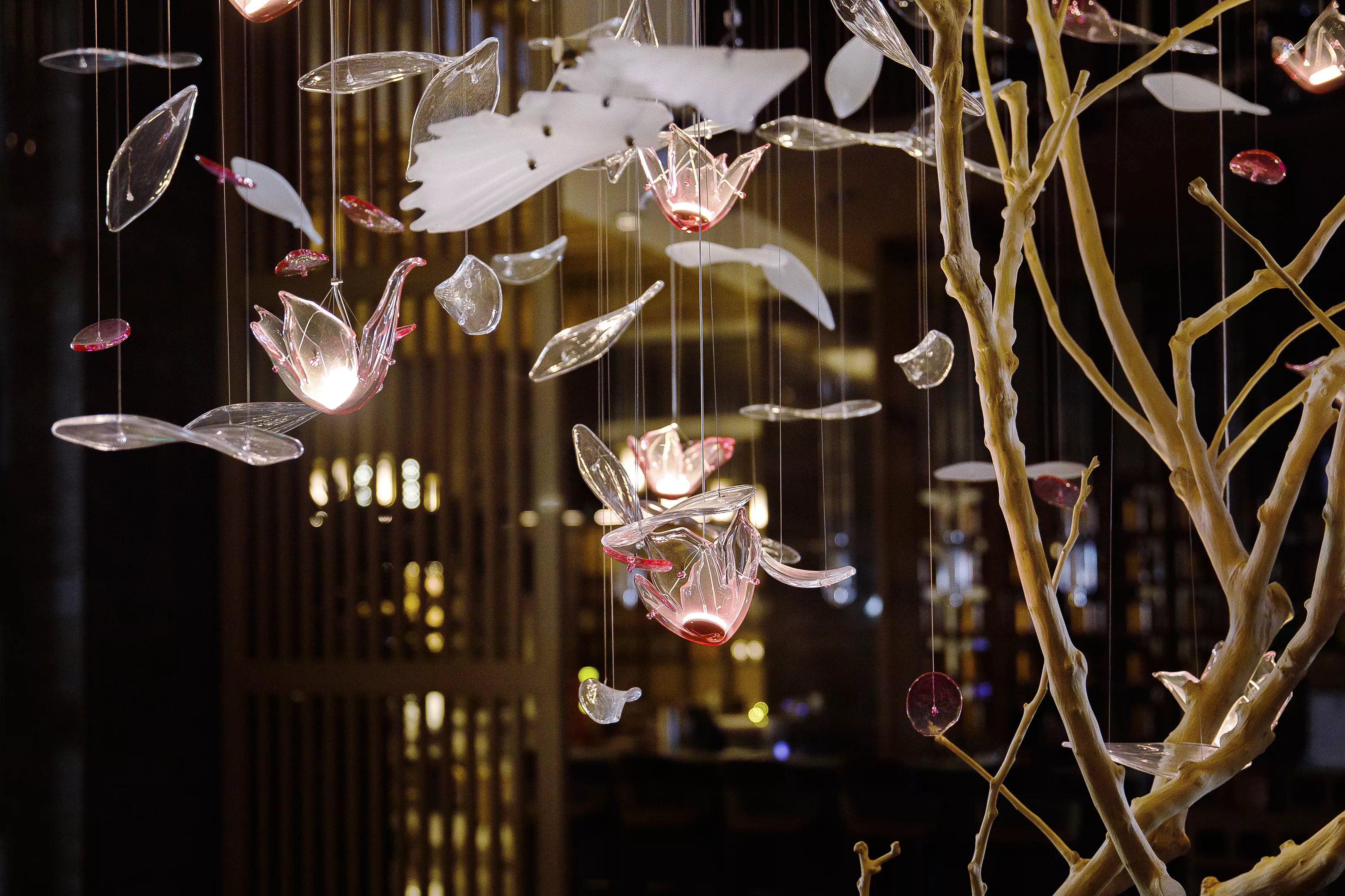 Light installation in Shangri-La