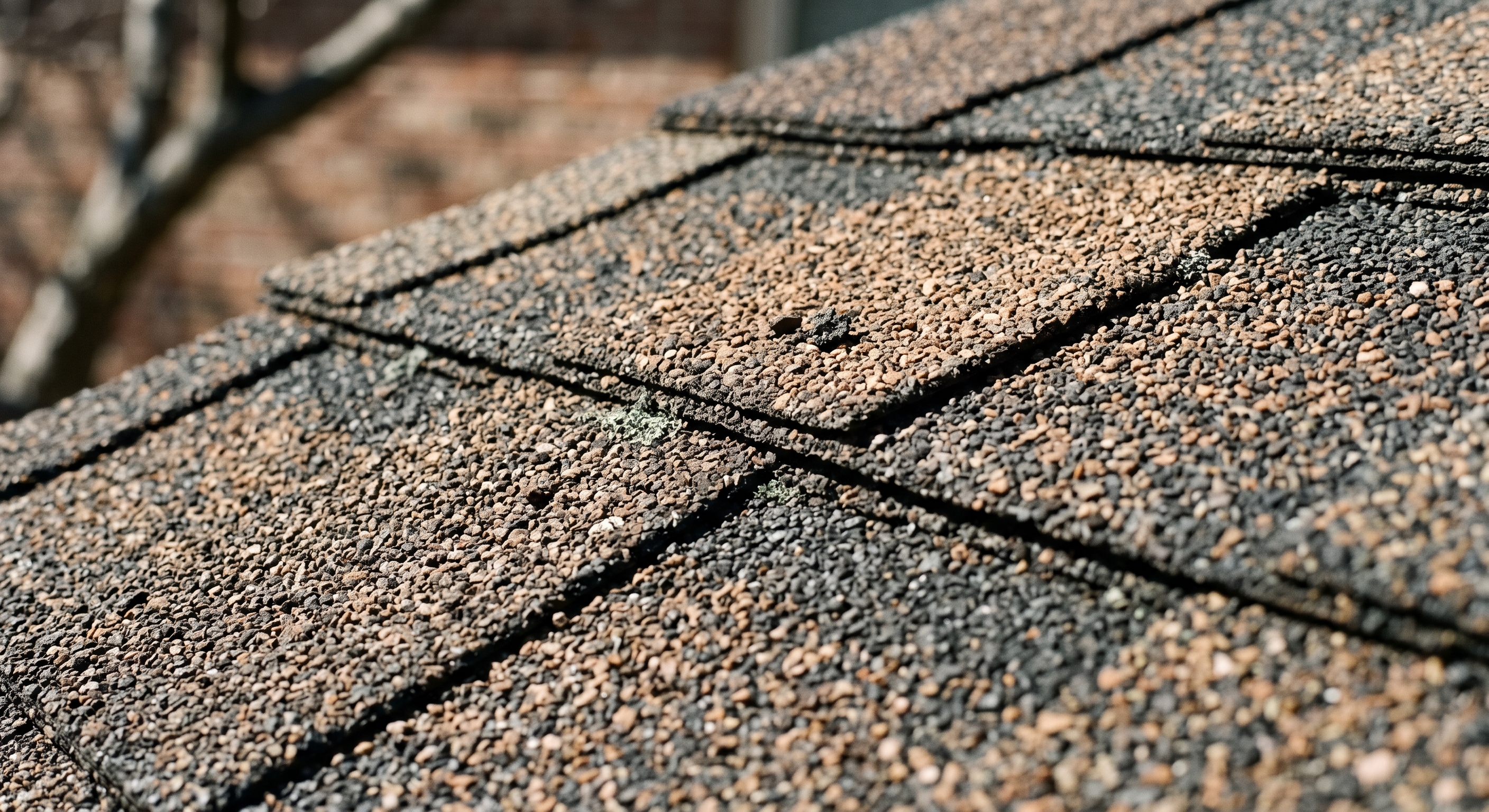 detailní záběr střechy